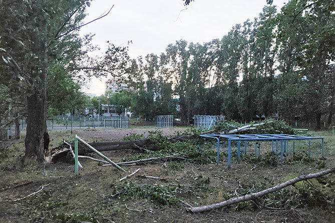 дерево упало во дворе
