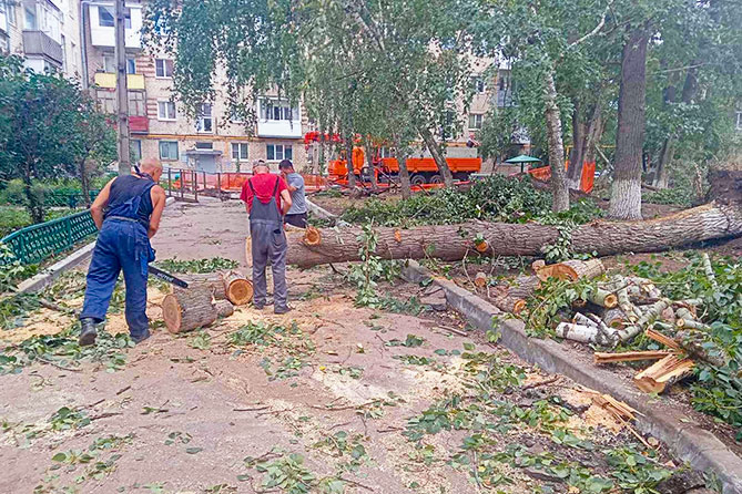 работники ЖКХ убирают упавшее дерево во дворе