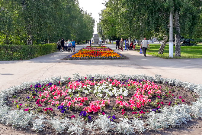 клумба в парке Центрального района