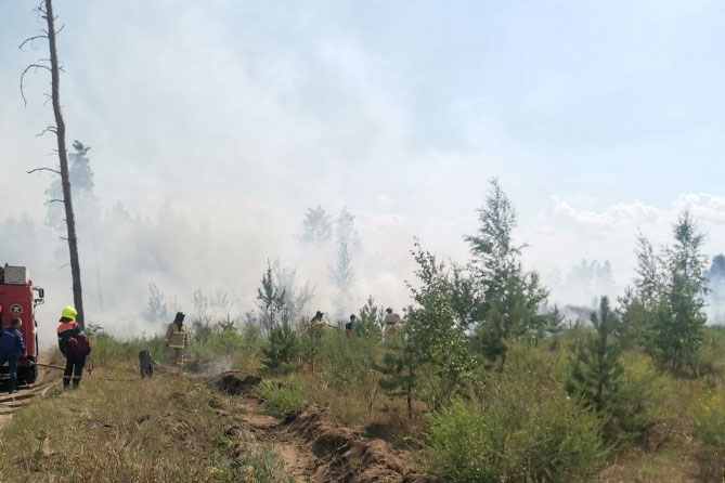 пожарные тушат возгорание в лесу