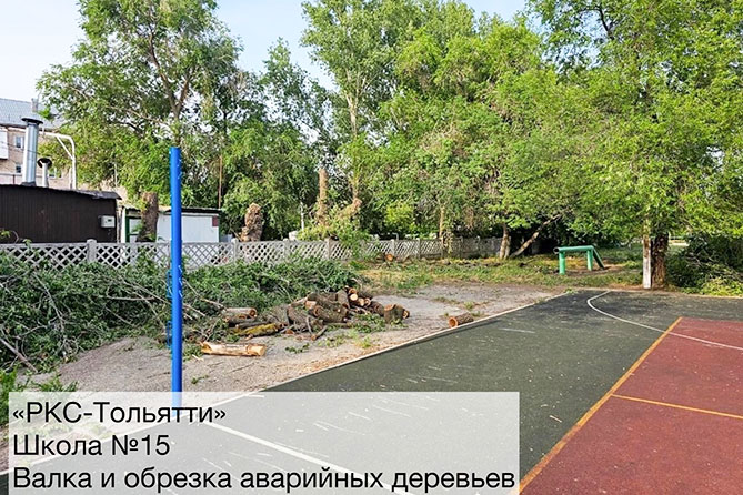 обрезка аварийных деревьев в школе 15