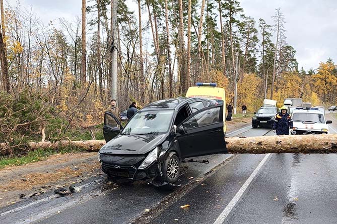 автомобиль на наехал на упавшее дерево