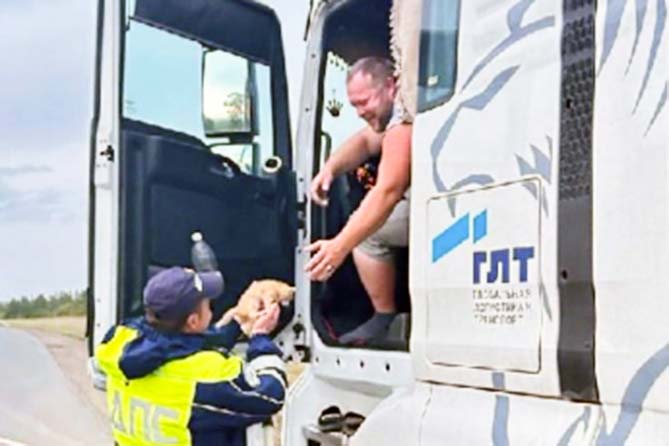 дальнобойщик забирает себе котенка