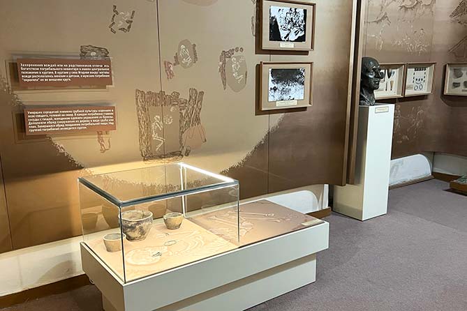 ткм музей экспозиция витрина подсветка краеведческий витрина с подсветкой в музее