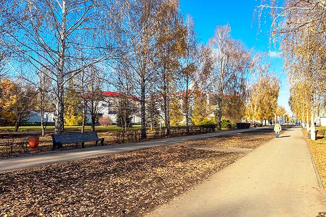 глава тольятти рассказал, что отремонтируют в парке центрального района в 2024 году аллея в парке центрального района