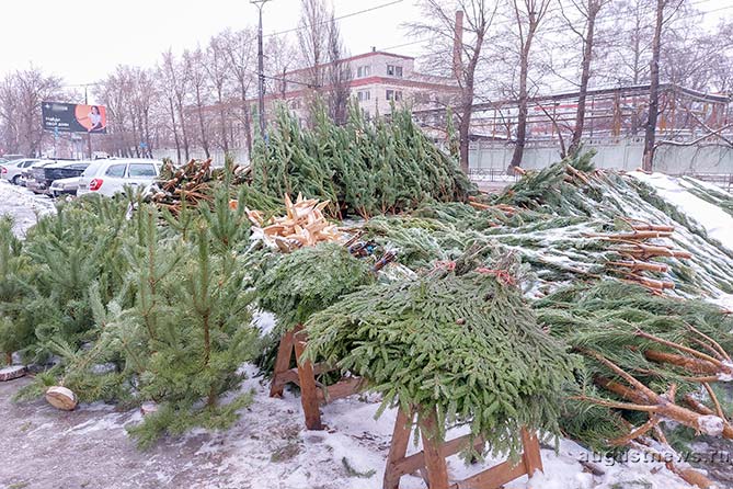 елочный базар на улице Голосова