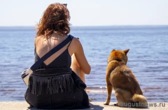девушка сидит на берегу с собакой