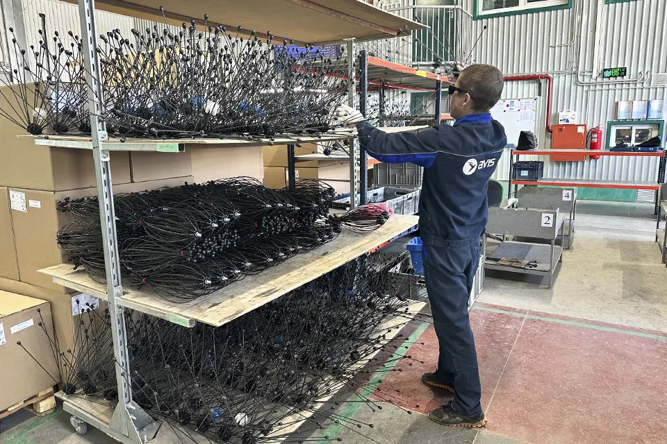 еж авис лэп электричество устройство для птиц сотрудник сотрудник предприятия АВИС