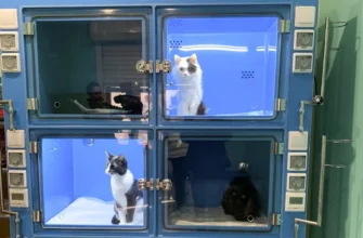 бокс инфекционного стационара