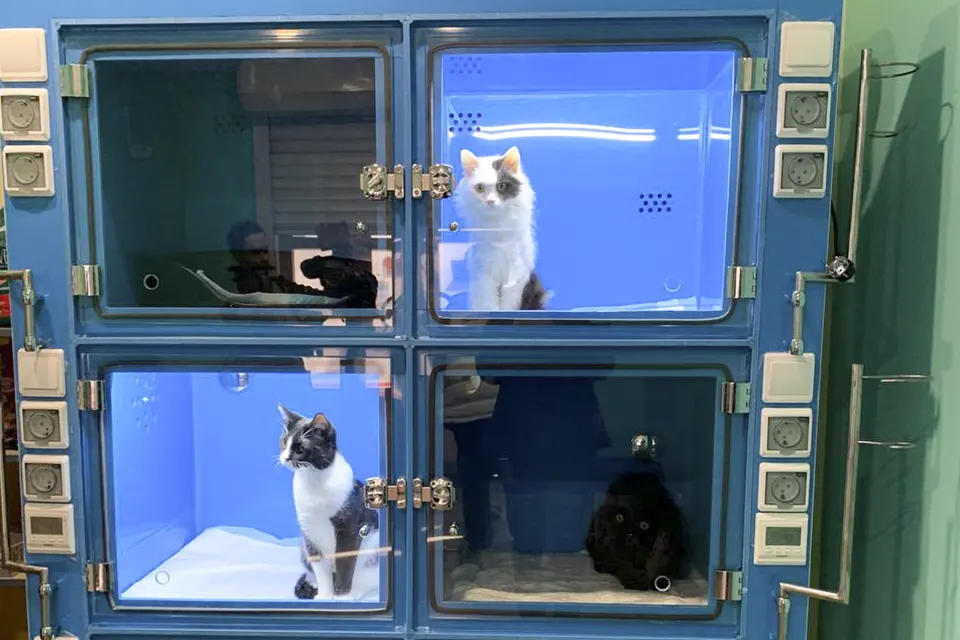 бокс инфекционного стационара