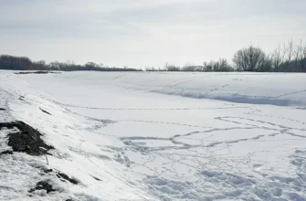 река лед снег