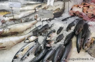 несколько видов рыбы на прилавке в магазине