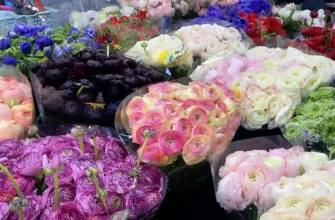 букеты цветов в магазине