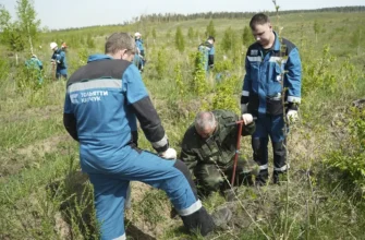 сотрудники Тольяттикаучука сажают саженцы в лесу