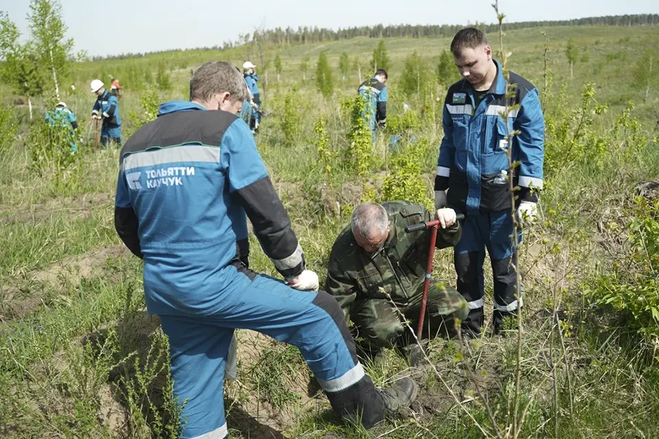 сотрудники Тольяттикаучука сажают саженцы в лесу