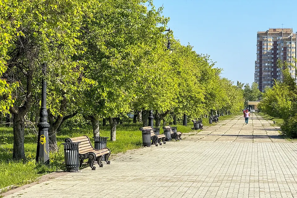 аллея в 32 квартале