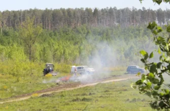 учения по тушению лесного пожара