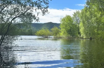 территория будущего оздоровительного комплекса