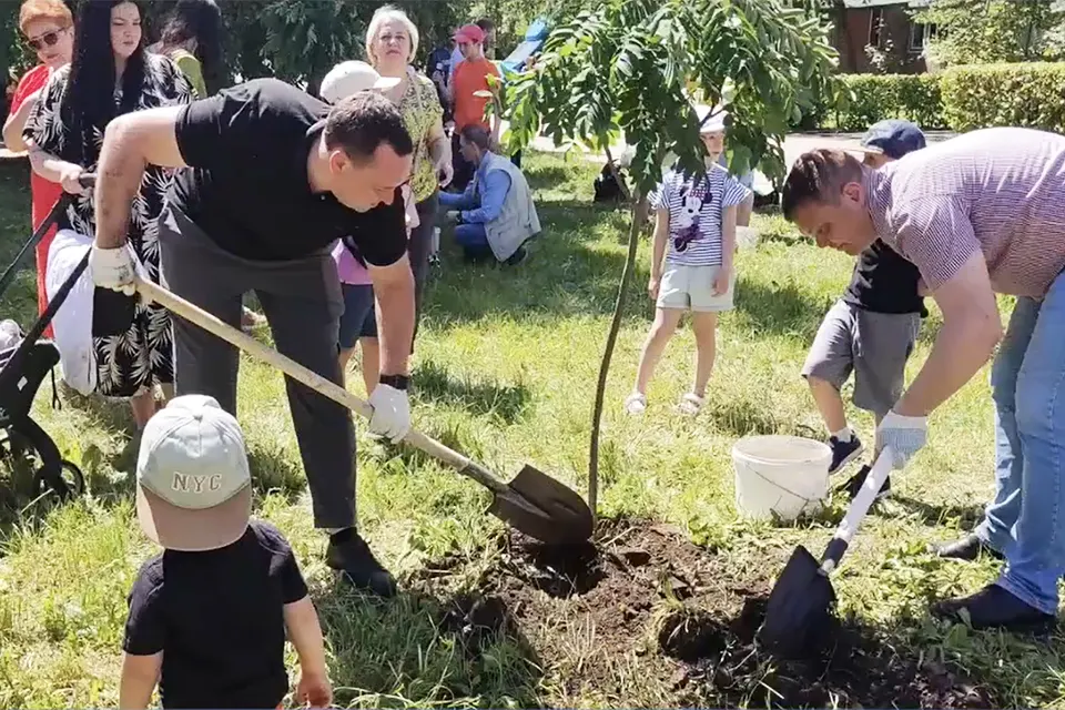 семья сажает дерево