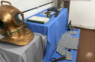 экспонаты в музее