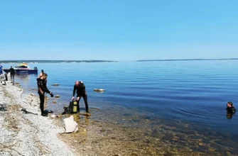 водолазы проводят поиски в Волге