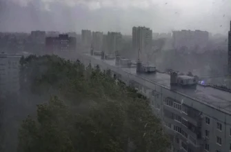 дождь и ветер летом