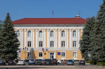 дума города Тольятти