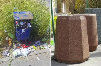 закупаемые урны