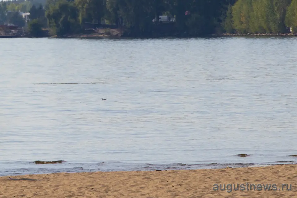 река волга пляж вода вид