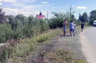 автомобиль улетел с трассы