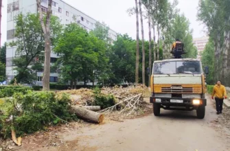 спил сухих деревьев в квартале
