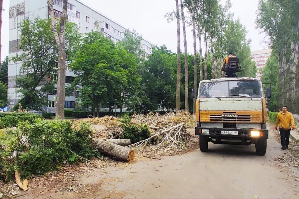 спил сухих деревьев в квартале