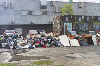 куча мусора на улице Революционной