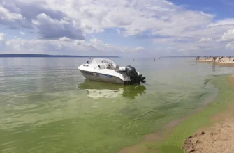 зеленая вода в Волге