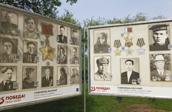 интерактивная выставка в сквере имени Жилкина