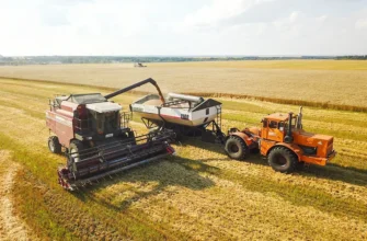 убирают в поле пшеницу