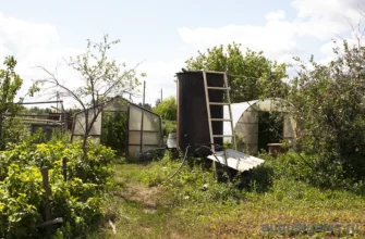 теплицы и бочка на даче