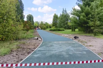 устройство пешеходной дорожки в дендропарке