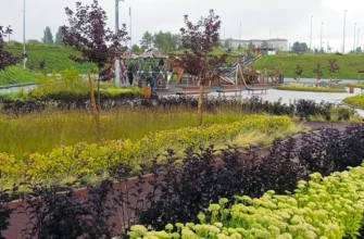 растения на набережной Автозаводского района