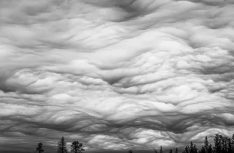 фотография участницы конкурса Планета Россия