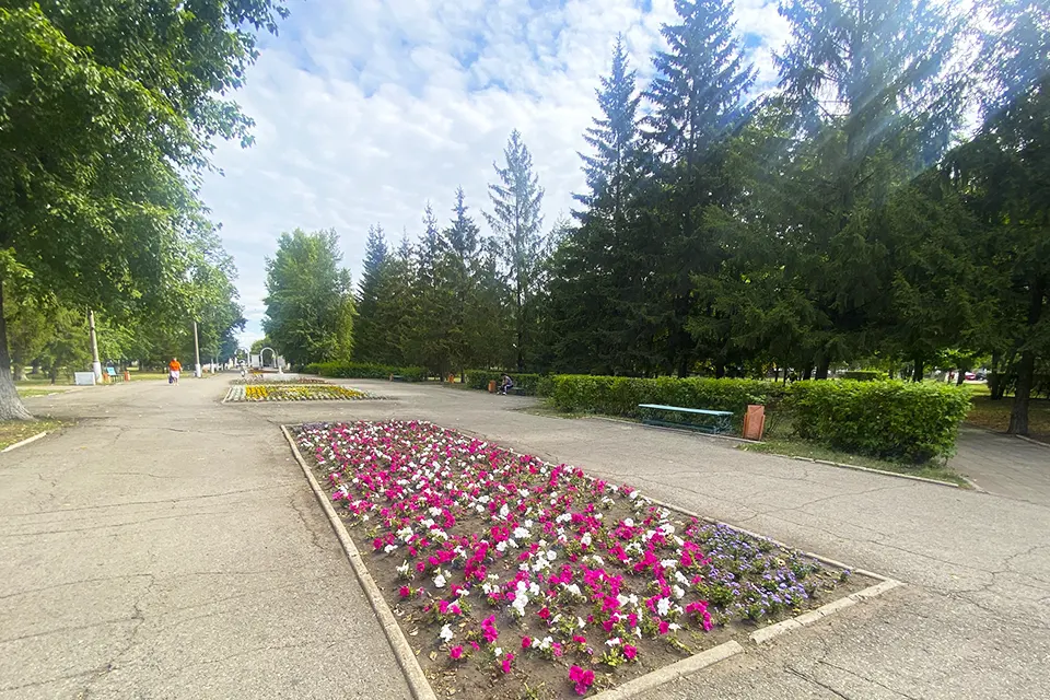 парк центральный аллея клумба цветы клумба в парке Центрального района