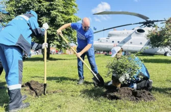 сотрудники Тольяттикаучука высаживают кустарники