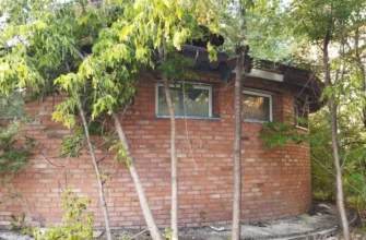 здание туалета на рынке