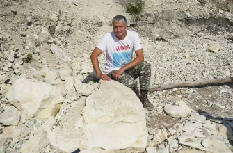 аммонит на берегу Куйбышевского водохранилища