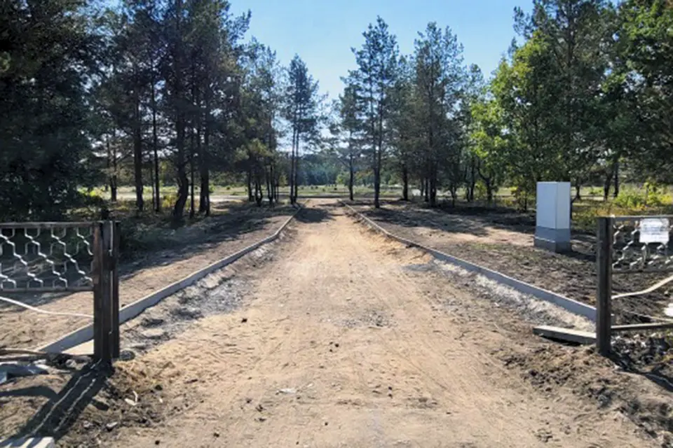 забор дорога в дендропарке