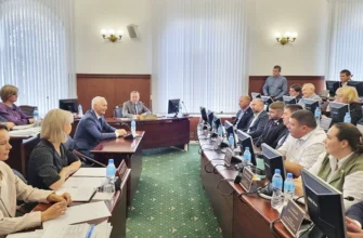 глава города в Думе