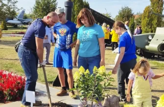 семья сажает кусты гортензии