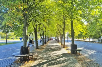 аллея в сквере имени Жилкина