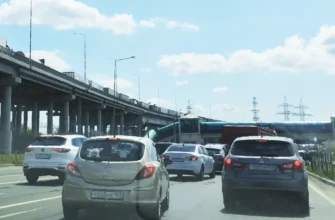 машины на Жигморе