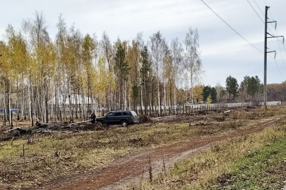 ограждение в лесу за спорткомплексом Кристалл